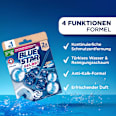 WC-Stein Selbst Aktiv Chlor BLUE STAR