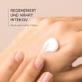 Louis Widmer proderm Anti-Aging Nachtcreme Reichhaltig TH Louis Widmer proderm