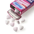 MINTS Zuckerfreie Pastillen mit Waldbeergeschmack Mivolis