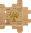 Serum Olive naturschön  alverde Naturschön