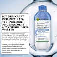 Mizellenwasser All-in-1 empfindliche Augen & Haut Garnier Skin Active
