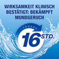 Mundspülung Original Mint CB12