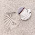 Seashell Stories četka za lice i tijelo - C01 Ocean’s Treasure CATRICE