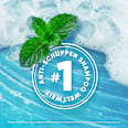 Shampoo Anti-Schuppen Menthol Fresh Anti-Juckreiz head&shoulders