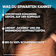 Shampoo Anti-Schuppen Menthol Fresh Anti-Juckreiz head&shoulders