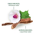 Arzneitee, Hustenreizstiller Tee (12 Beutel) Bad Heilbrunner