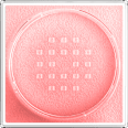 Loses Puder Fit Me Loose Setting 02 Pink MAYBELLINE NEW YORK
