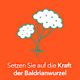Baldrian-ratiopharm Baldrian-Trockenextrakt Tabletten ratiopharm
