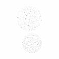 Gesichtsspray Hypochlorus e.l.f. Cosmetics