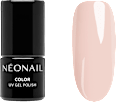 Starter Set Color Favorites NÉONAIL