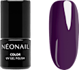 Starter Set Color Favorites NÉONAIL