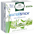 Integratore alimentare Waterstick Tè Matcha L'ANGELICA