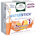 Integratore alimentare Waterstick Pesca Passion fruit L'ANGELICA