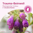 Traumaplant Schmerzcreme 100 mg Beinwellkraut-Zubereitung Creme Traumaplant