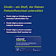 Orthomol Cholin Plus Kapseln 30 Tagesportionen, 60 St orthomol