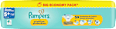 Windeln Gr. 5+ (12-17 kg) Big Economy Pack Pampers premium protection