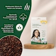 Traubenkern-Nackenhörnchen Grünspecht