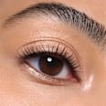 Lidschatten Soft Blend Stick Waterproof 010 Golden Glow CATRICE