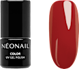 Nageldesign-Zubehör Starter Set Color Favorites NÉONAIL