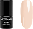 Nageldesign-Zubehör Starter Set Color Favorites NÉONAIL