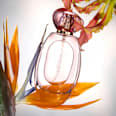 The Summer Edit mist za kosu i tijelo - C01 L'Eau So Sunkissed! CATRICE