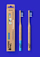 Zahnbürste Professional Medium Hydrophil
