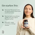 Mariendistel mit Löwenzahnwurzel & Artischockenextrakt Kapseln 120 St nedura