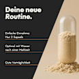 Active Men Prosta Formula Kapseln 60 St serotalin