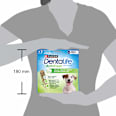 Dentalife Activfresh Small pamlsky pro psy PURINA Dentalife