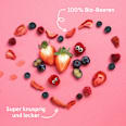 Kindersnack Fruchtchips Roter Beerenmix ab 3 Jahren Freche Freunde
