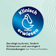 Hämorrhoiden Gel Can mit Applikator actiPROCT