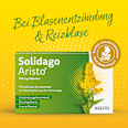 Solidago Aristo 300 mg Goldrutenkraut Trockenextrakt Tabletten ARISTO