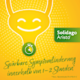 Solidago Aristo 300 mg Goldrutenkraut Trockenextrakt Tabletten ARISTO