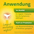 Solidago Aristo 300 mg Goldrutenkraut Trockenextrakt Tabletten ARISTO