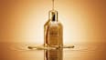 Shimmering Body Oil Golden Daze HOUSE OF THÊOM