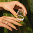 UV Nagellack Top Coat Dry Matte NÉONAIL