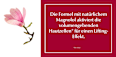 Eucerin Hyaluron-Filler + Volume-Lift Anti-Age Nachtpflege Eucerin