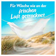 Weichspüler Luftfrisch Küstendüne Lenor