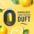 Mülleimererfrischer Starterkit Zitrusfrische Febreze