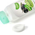 Körperlotion Olive Aloe Vera alverde NATURKOSMETIK