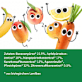 Kindersnack Smoothie-Chips Multifrucht mit Karotte ab 3 Jahren Freche Freunde