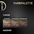 Haarfarbe 7_56 Dunkles Aschblond Syoss Oleo Intense