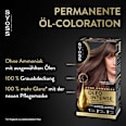 Haarfarbe 7_56 Dunkles Aschblond Syoss Oleo Intense