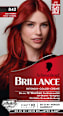 Haarfarbe 842 Kaschmirrot Schwarzkopf Brillance