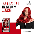 Haarfarbe 842 Kaschmirrot Schwarzkopf Brillance