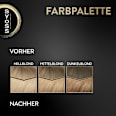 Haarfarbe 10_50 helles Aschblond Syoss Oleo Intense