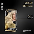 Haarfarbe 10_50 helles Aschblond Syoss Oleo Intense