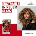 Haarfarbe L865 Honigbraun Schwarzkopf Brillance