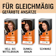 Ansatzset A2 Goldbraun Schwarzkopf
