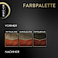 Haarfarbe 5_77 Kupferrot Syoss Oleo Intense